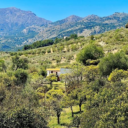 Finca Martina Apartment Casarabonela Екстериор снимка