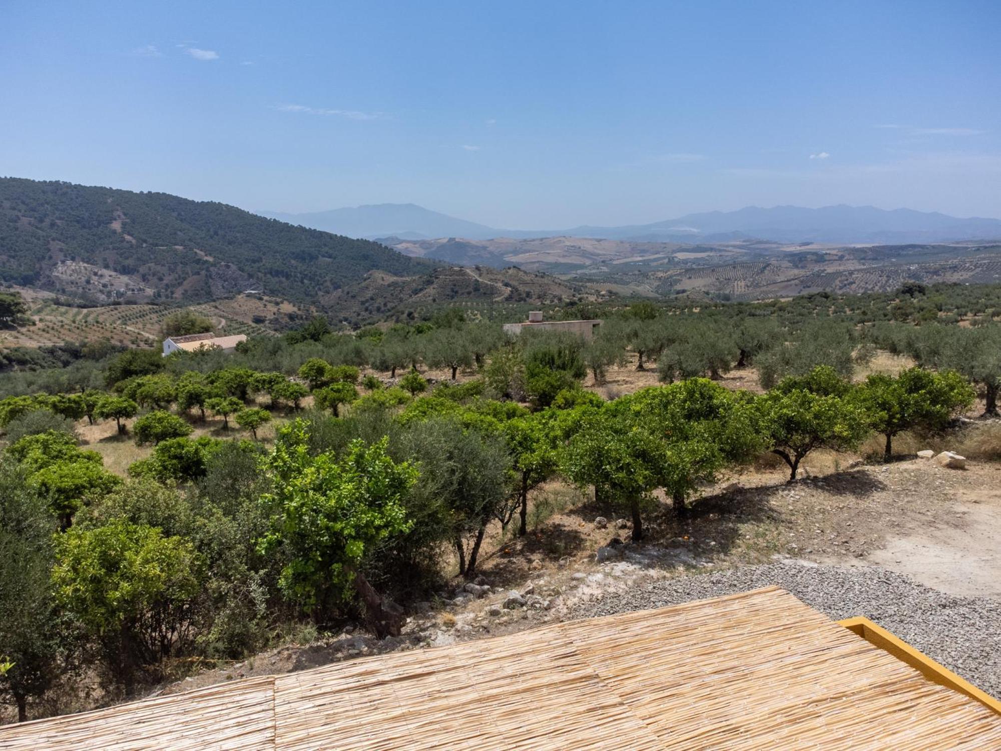 Finca Martina Apartment Casarabonela Екстериор снимка